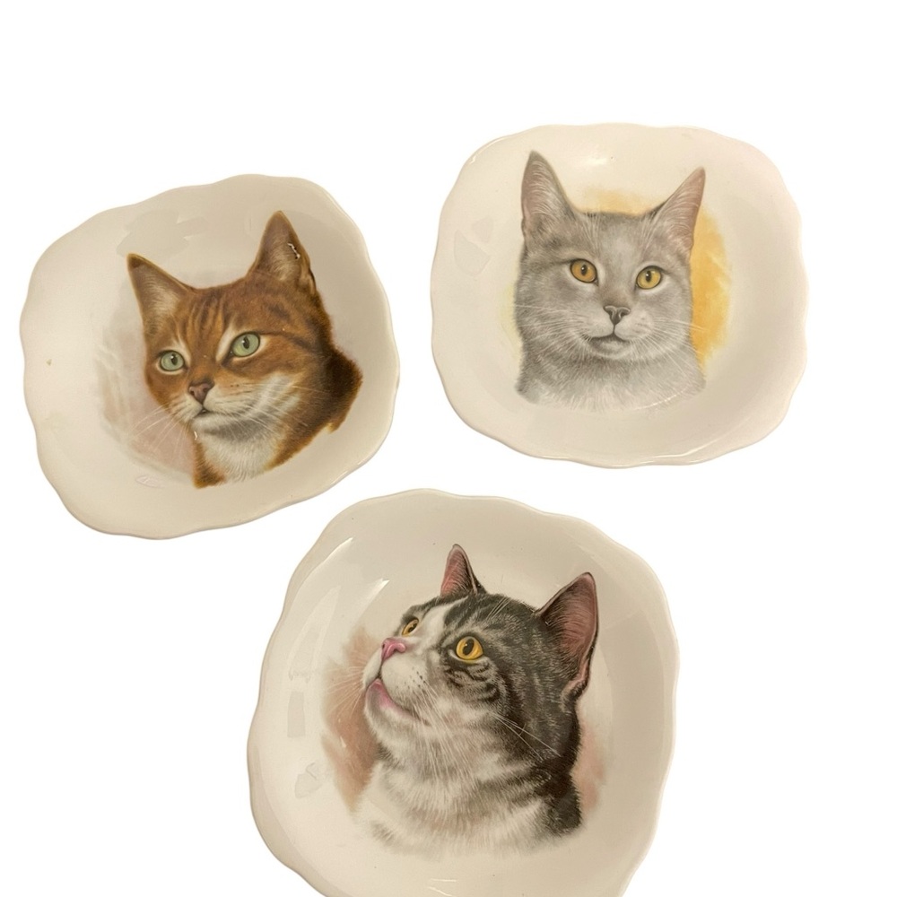 Royal Trent Fine Bone China Cat Portrait Trinket Dishes Set of 3 Staffordshire